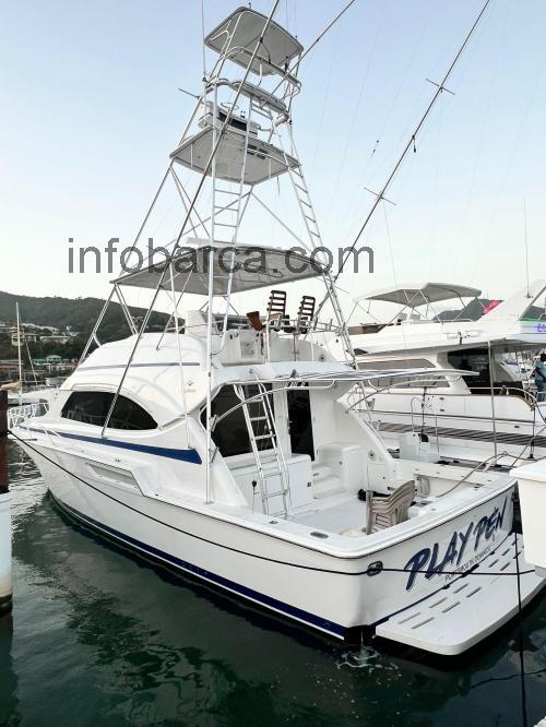Bertram 51 scheda tecnica 
